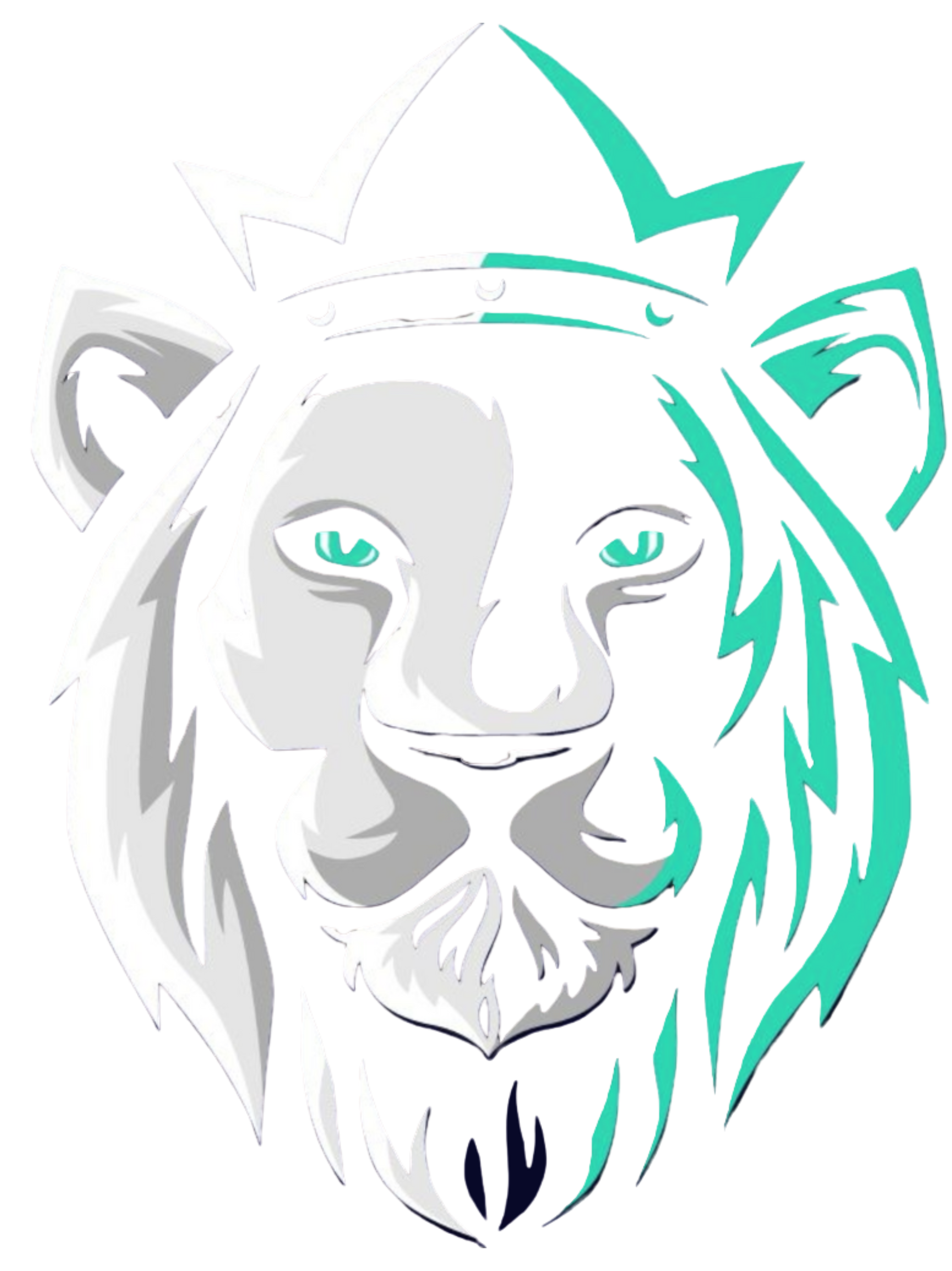 Logo King Technology